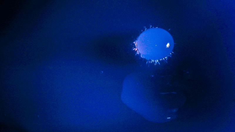 20210122-170818-814-80D