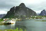 Reine