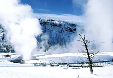 Yellowstone-1