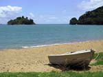 Coromandel