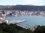 Wellington-1