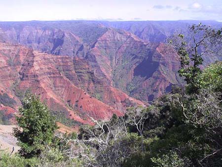 Waimea