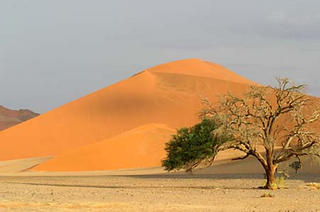 Namib-3