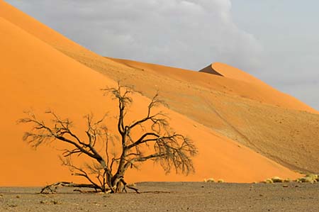 Namib-4