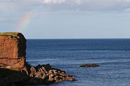 Regenbogen