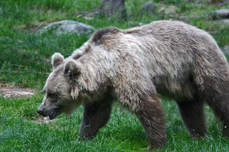 Tierpark