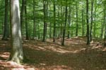 Nationalpark