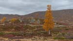 20141001-101329-029-FZ200