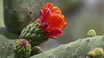 20140401-151841-132-FZ200