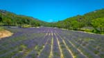 20230626-151718-018-DJI