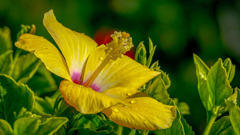 20250106-134909-007-FZ1000