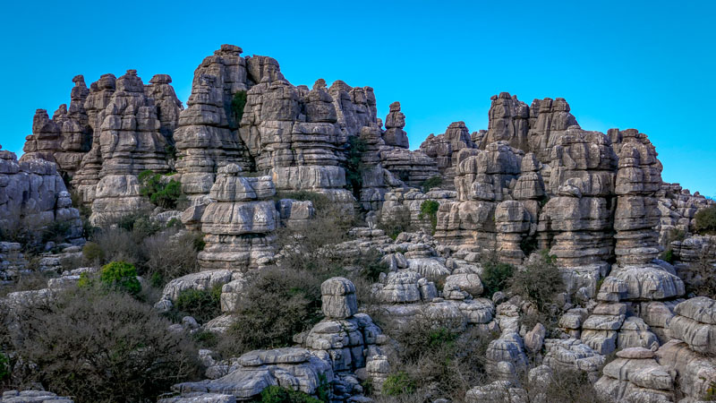 20250112-133000-036-FZ1000