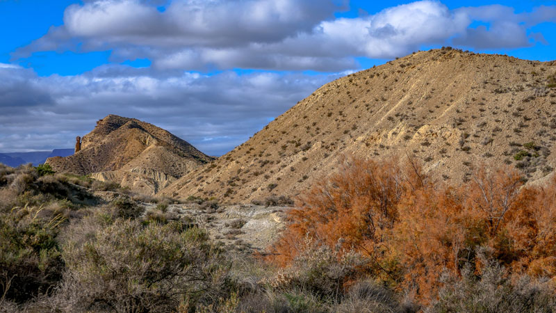 20250117-122525-106-FZ1000