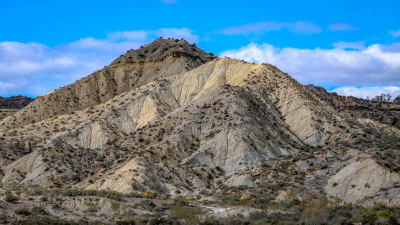 20250117-133902-033-FZ1000