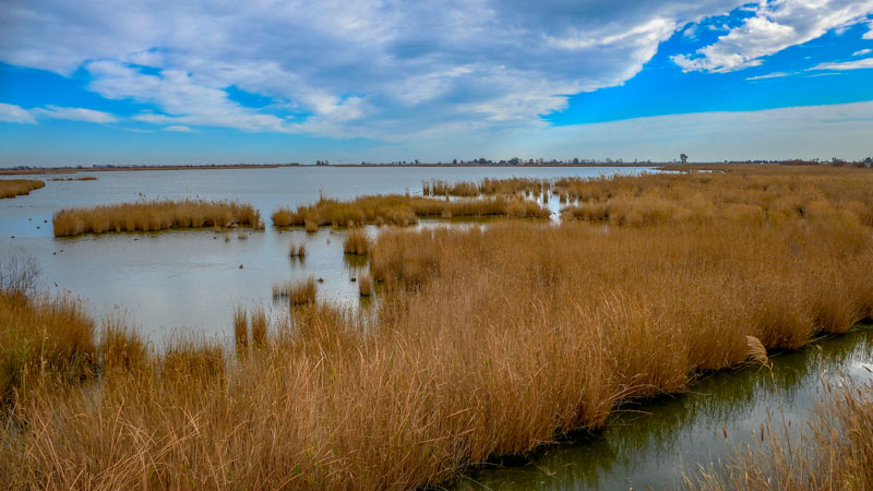 20250122-141203-066-FZ1000