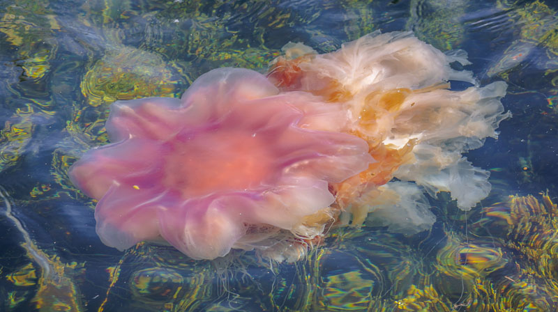 20250716-095409-016-R6