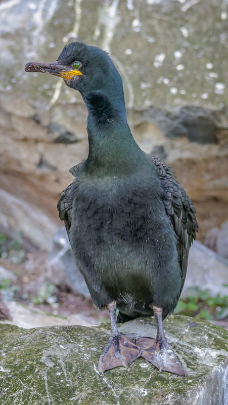 20250718-091837-018-R6