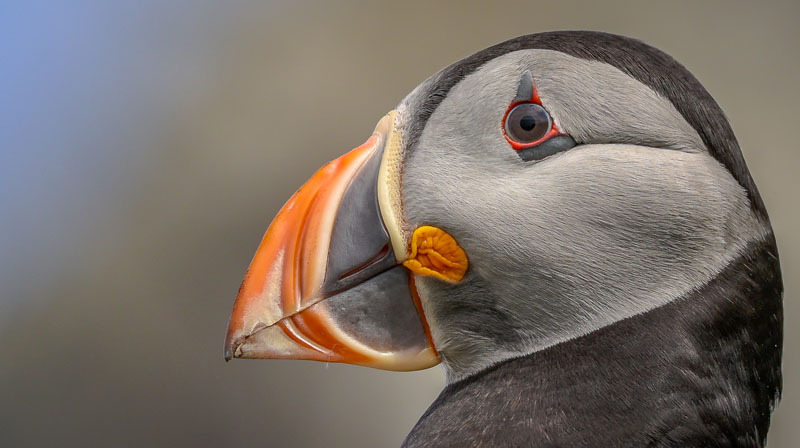 20250718-120751-902-R6