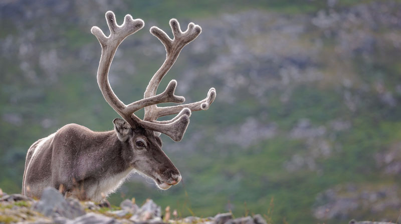 20250730-104421-041-R6