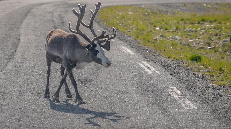 20250802-094739-022-R6