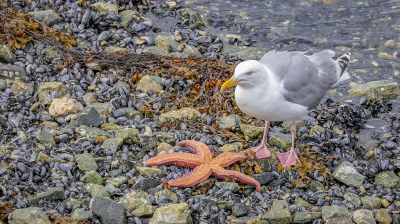 20250811-103736-021-R6