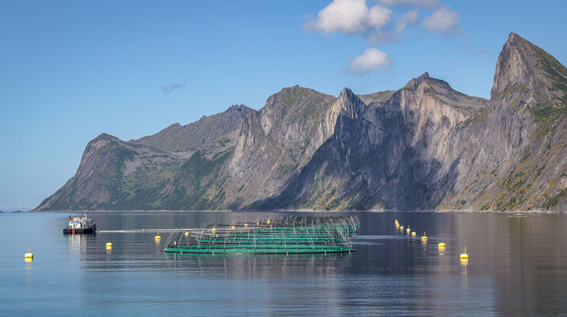 20250813-132247-134-R6