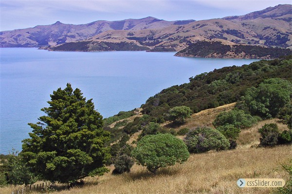 banks_peninsula